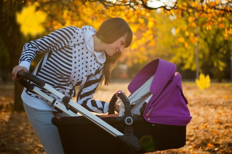 evenflo omni plus stroller instructions