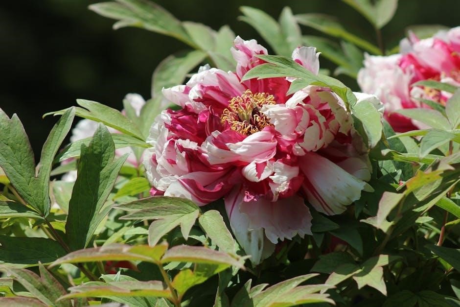 zone 3a planting guide canada