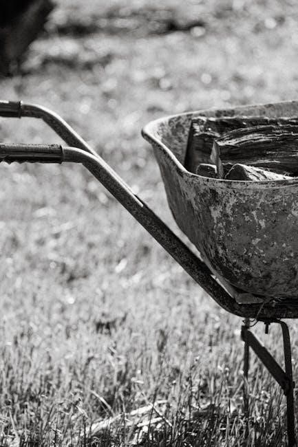 black and decker lawn trimmer manual